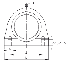 直立式軸承座單元 RSHEY25-TV-VA, 塑料軸承座，內圈帶平頭螺釘?shù)耐馇蛎媲蜉S承，耐腐蝕設計，R 型密封